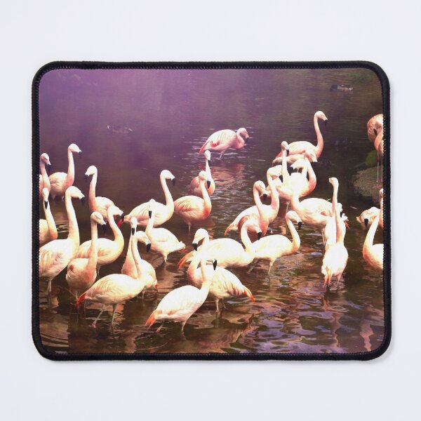 Item preview, Flamingo Magic designed and sold by shalisa.