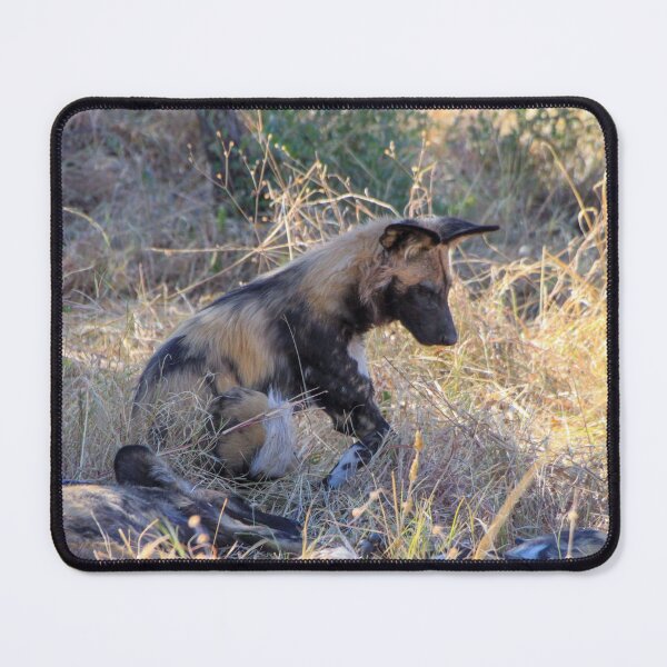 Item preview, Wild dog sitting with its pack designed and sold by SafariByMarisa.