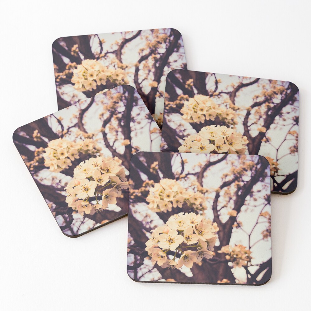 Item preview, Coasters (Set of 4) designed and sold by Millza.