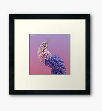 Flume Skin Framed Print