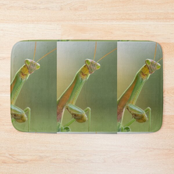 Item preview, A Praying Mantis designed and sold by Bill Spengler's Photographic Thoughts.