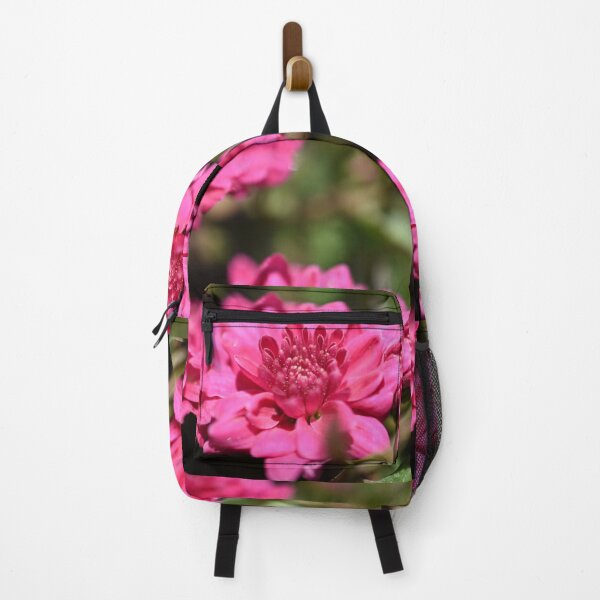 Item preview, Pink chrysanthemum flower photograph designed and sold by PuzbieArts.
