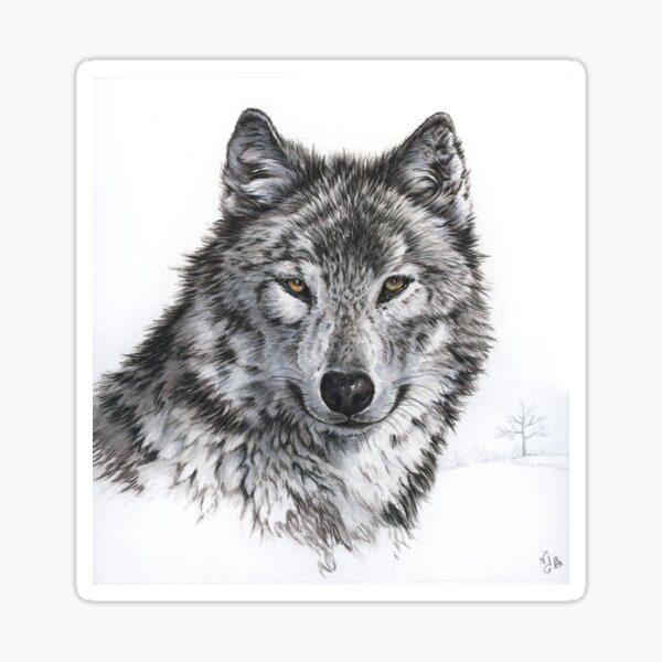 Loup dans un paysage de neige Sticker