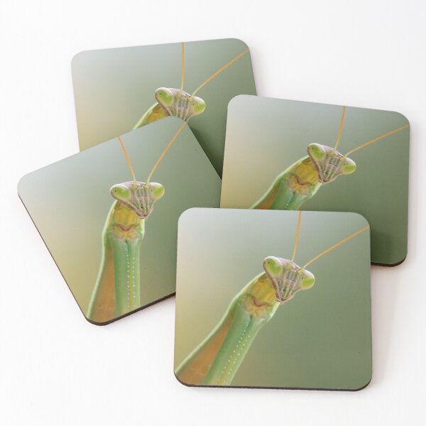 Item preview, A Praying Mantis designed and sold by Bill Spengler's Photographic Thoughts.