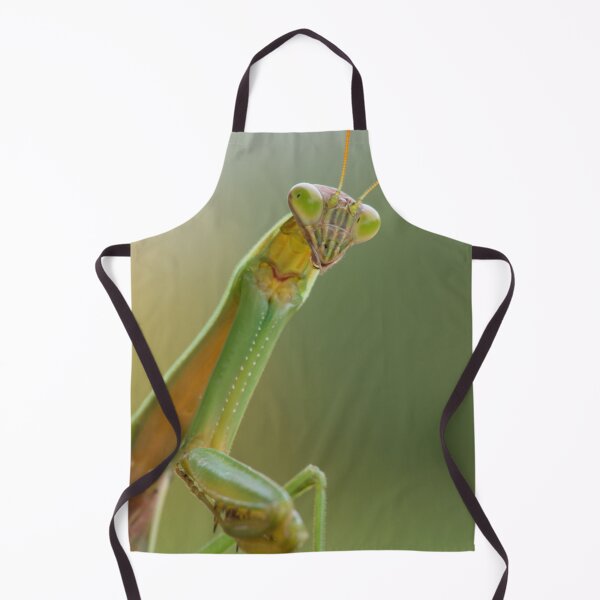 Item preview, A Praying Mantis designed and sold by Bill Spengler's Photographic Thoughts.