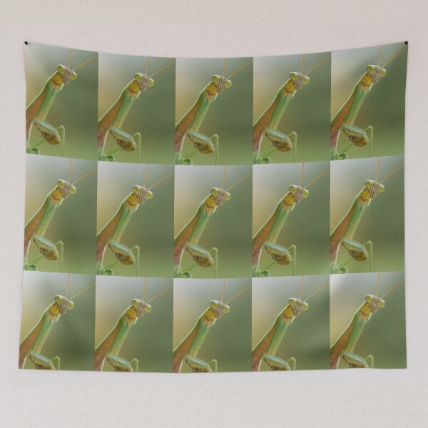 Item preview, A Praying Mantis designed and sold by Bill Spengler's Photographic Thoughts.