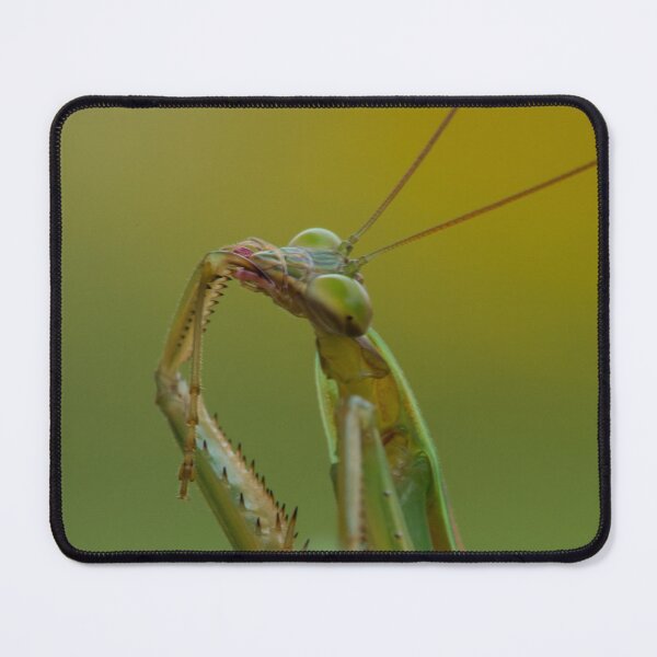 Item preview, Cleaning Up After Dinner designed and sold by Bill Spengler's Photographic Thoughts.