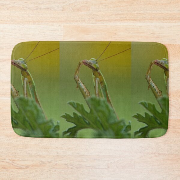 Item preview, Cleaning Up After Dinner designed and sold by Bill Spengler's Photographic Thoughts.