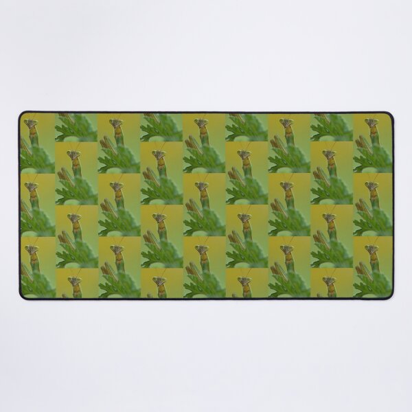 Item preview, A Praying Mantis Portrait designed and sold by Bill Spengler's Photographic Thoughts.