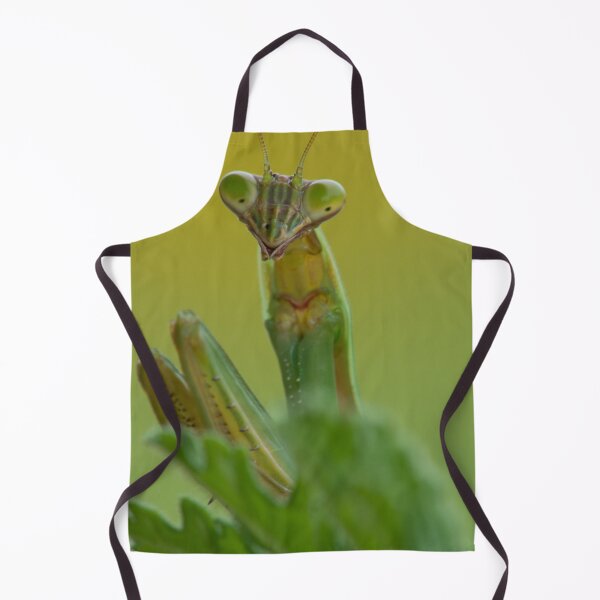Item preview, A Praying Mantis Portrait designed and sold by Bill Spengler's Photographic Thoughts.