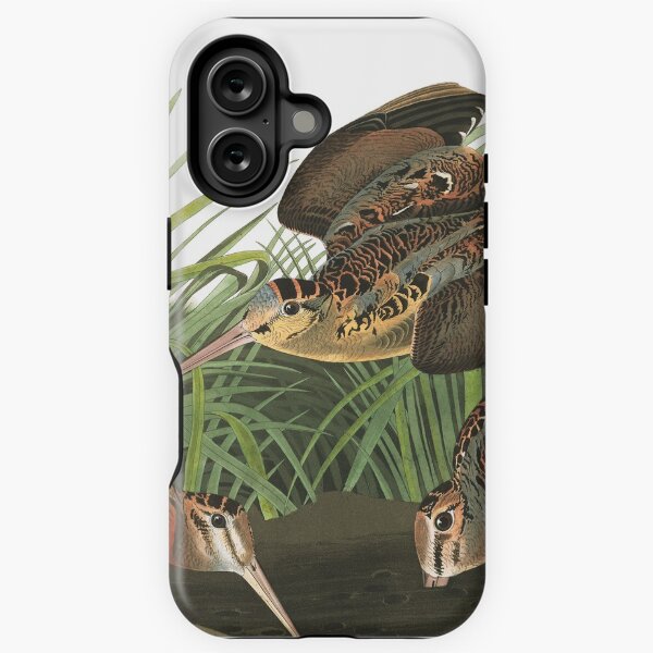 Item preview, American Woodcock - John James Audubon designed and sold by billythekidtees.