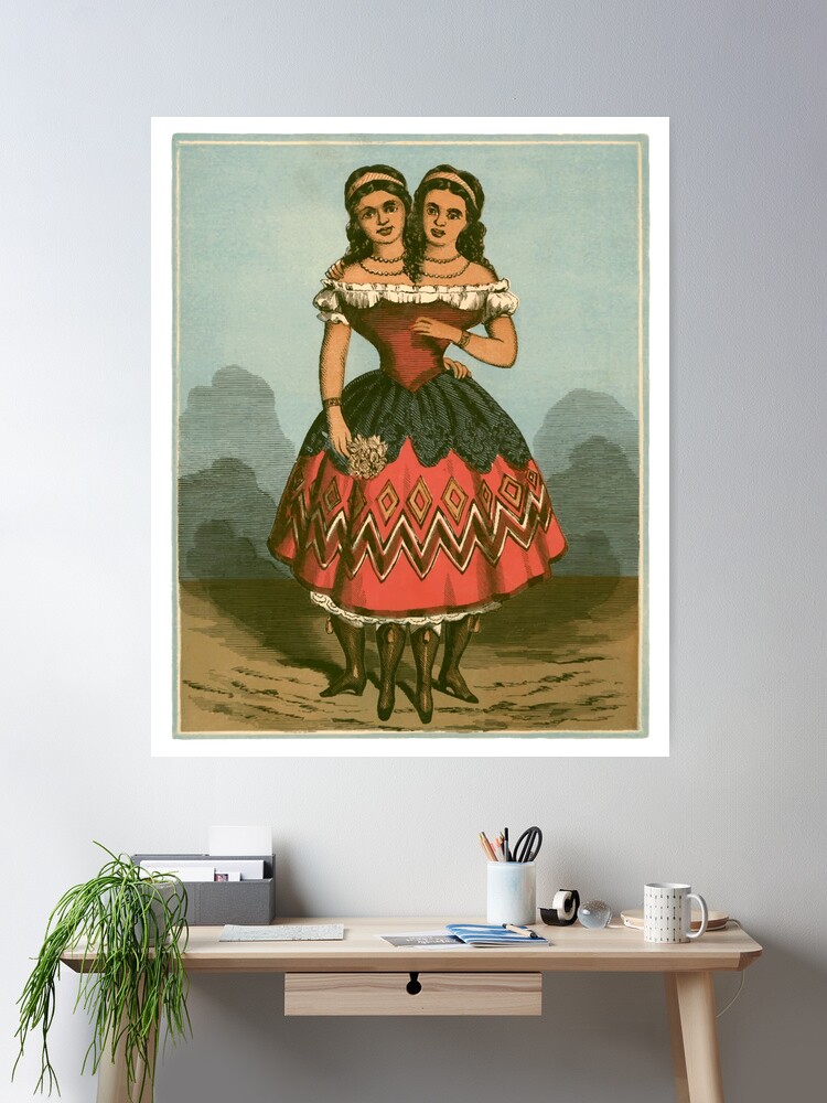cposter,large,product,750x1000