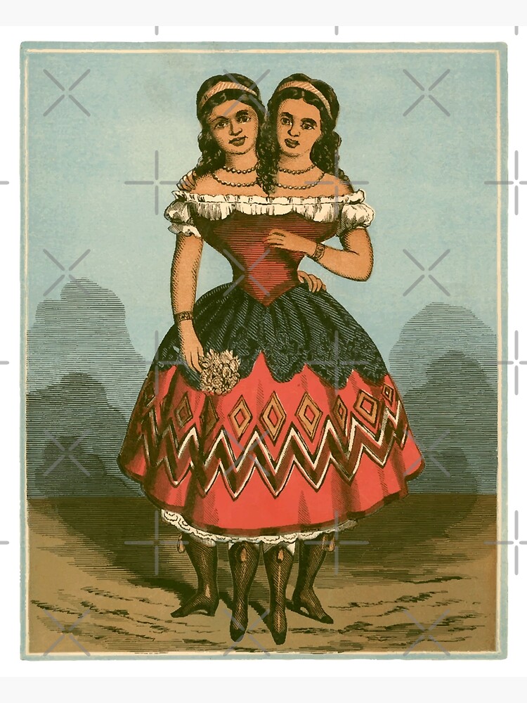 The Wonderful Two Headed Girl illustration, 1869