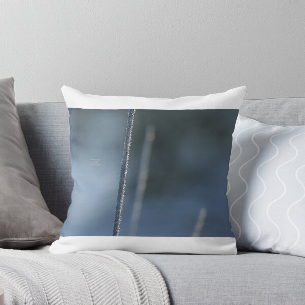 Item preview, "Cañas escarchadas en un lago helado" designed and sold by Richard Couchman.