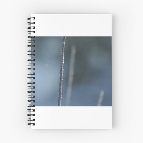 Item preview, " Frosted Reeds On A Frozen Lake " designed and sold by Richard Couchman.
