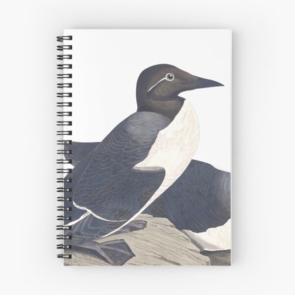 Item preview, Common Murre - John James Audubon  designed and sold by billythekidtees.