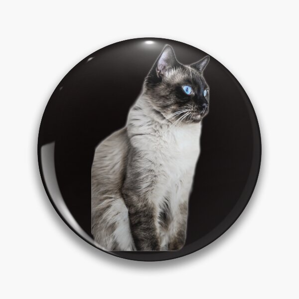 Artikelvorschau, Ragdoll Katze TSHIRT entworfen und verkauft von GOLDFAMILYSHOP.