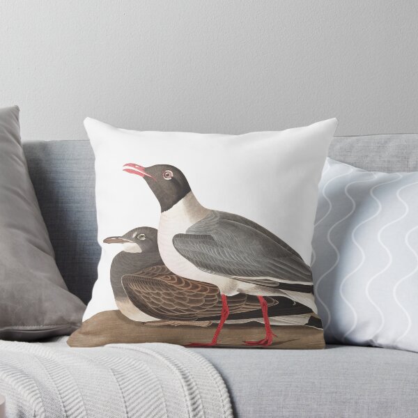 Item preview,  Laughing Gull - John James Audubon designed and sold by billythekidtees.