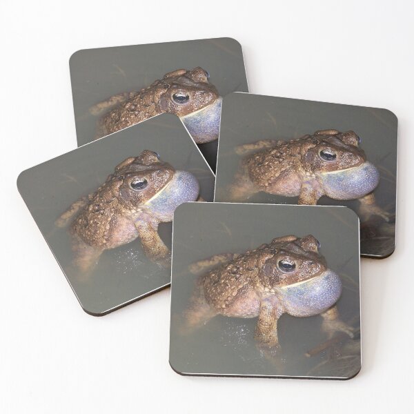 Item preview, American toad calling designed and sold by FrogSwag.