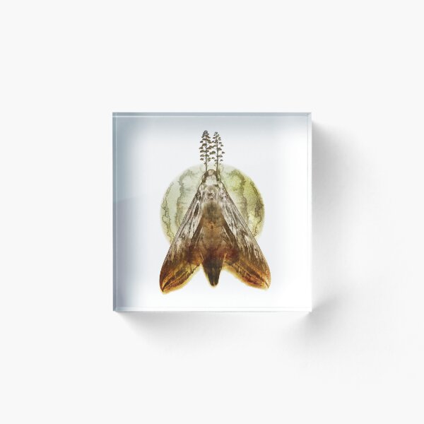 Item preview, TIDE - lunar moth illustration designed and sold by Janet Botes.