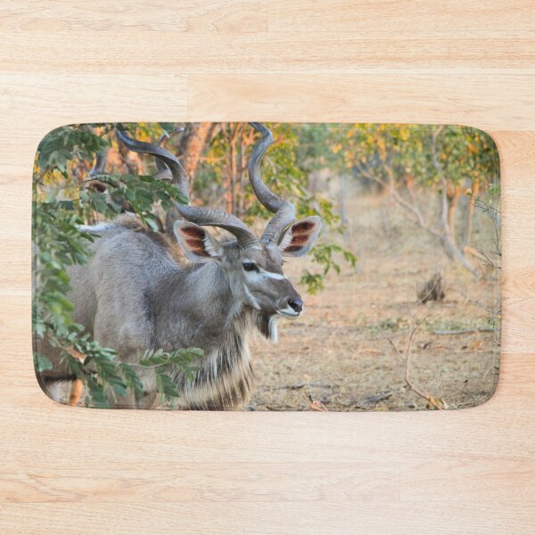 Item preview, Male Kudu Close Up, Botswana, Africa designed and sold by SafariByMarisa.