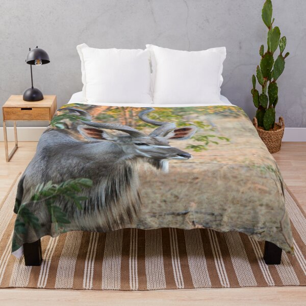 Item preview, Male Kudu Close Up, Botswana, Africa designed and sold by SafariByMarisa.