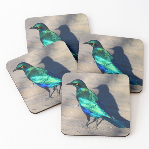Item preview, African Blue Starling Bird designed and sold by SafariByMarisa.