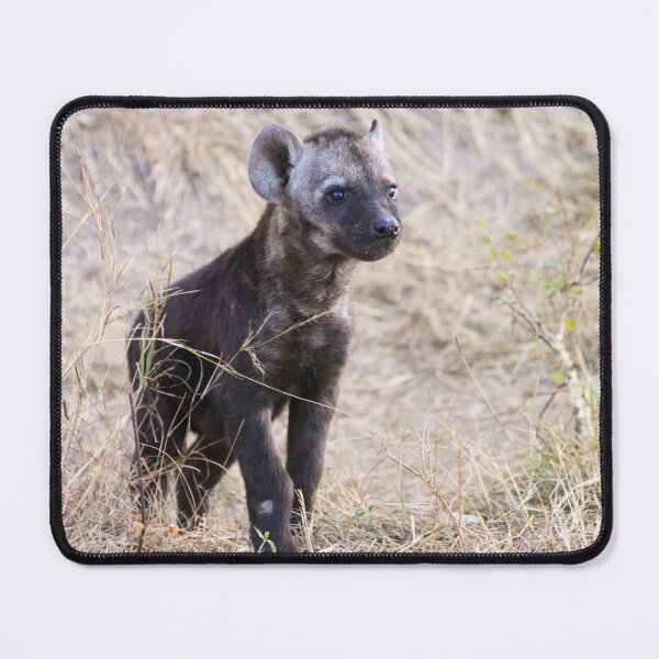 Item preview, Young hyena cub designed and sold by SafariByMarisa.