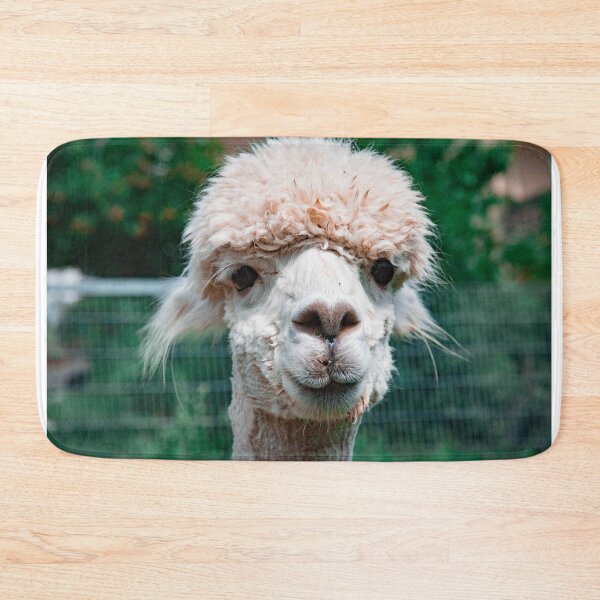Item preview, Alpaca designed and sold by wklize.