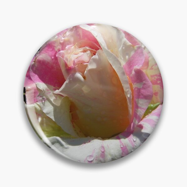 Item preview, Summer Magic .. Raindrops on a Rose designed and sold by LoneAngel.