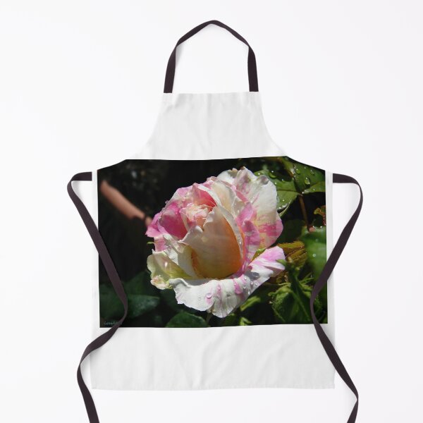 Item preview, Summer Magic .. Raindrops on a Rose designed and sold by LoneAngel.