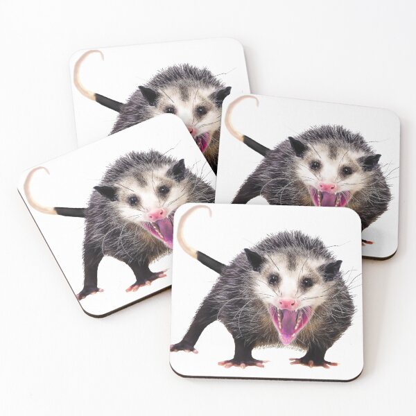 Item preview, possum merch - opossums - Possum Whisperer - Possum- designed and sold by TeeARTHY.