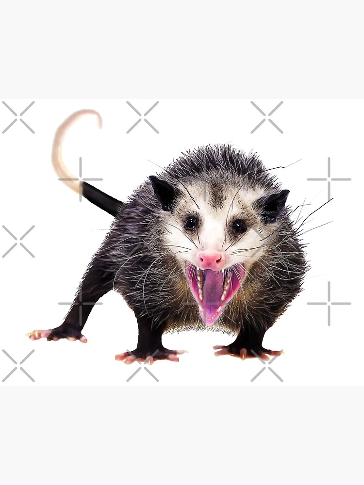Live Lelijke Nep Uw Death Ondergoed Opossum Possum Soft Underpants