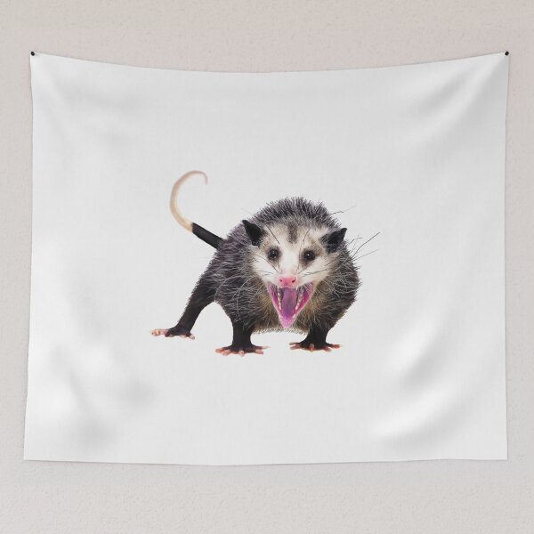 Item preview, possum merch - opossums - Possum Whisperer - Possum- designed and sold by TeeARTHY.