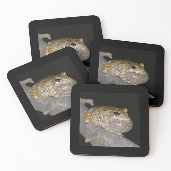 Item preview, Gray treefrog calling designed and sold by FrogSwag.