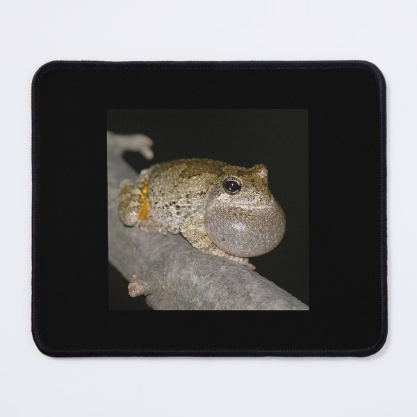 Item preview, Gray treefrog calling designed and sold by FrogSwag.