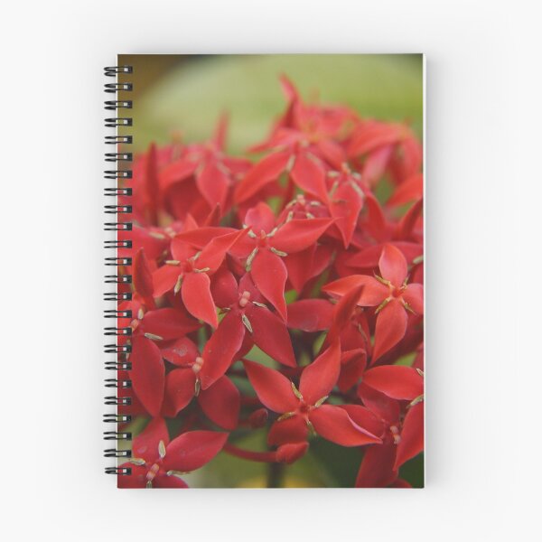 Item preview, Red Ixora Print , Flower Print designed and sold by aariv.