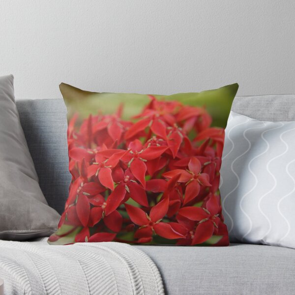 Item preview, Red Ixora Print , Flower Print designed and sold by aariv.