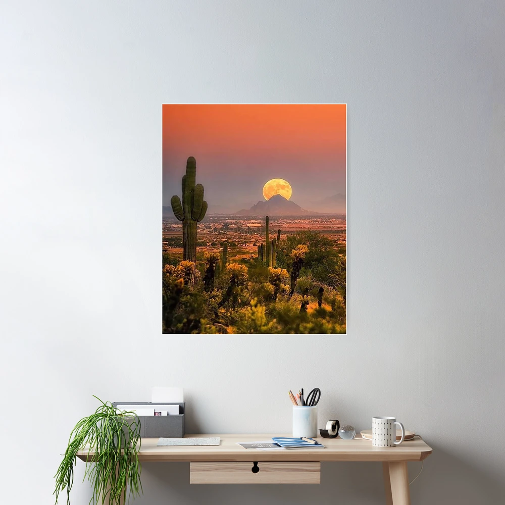 Un Paysage Désertique Rempli De Cactus Créosotes Buissons Ocotillo Et