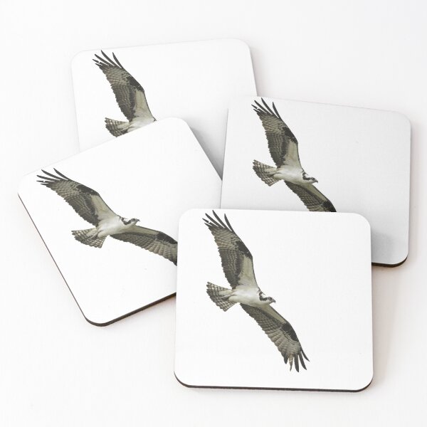 Item preview, Isolated Osprey 2021-1 designed and sold by Thomasyoung.