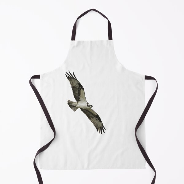 Item preview, Isolated Osprey 2021-1 designed and sold by Thomasyoung.