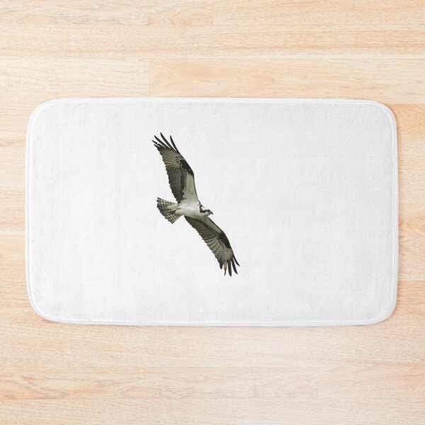 Item preview, Isolated Osprey 2021-1 designed and sold by Thomasyoung.