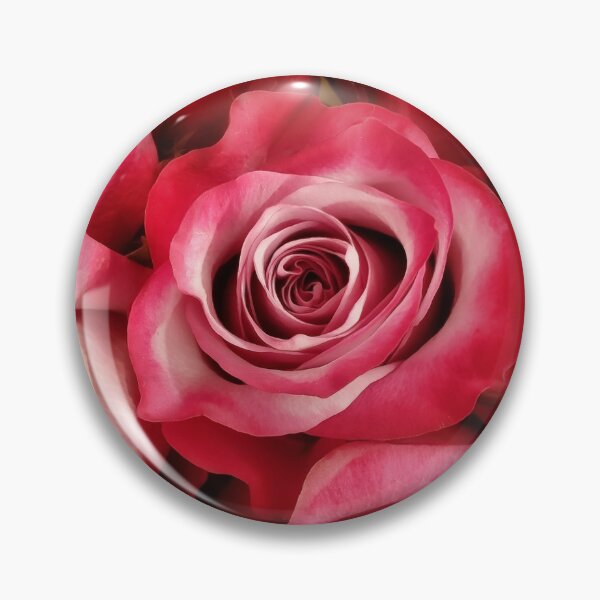 Item preview, Dark Edged Pink Roses  designed and sold by TheSplitWindow.