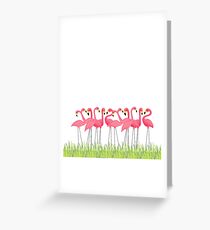 Pink Flamingos Illustration Greeting Card