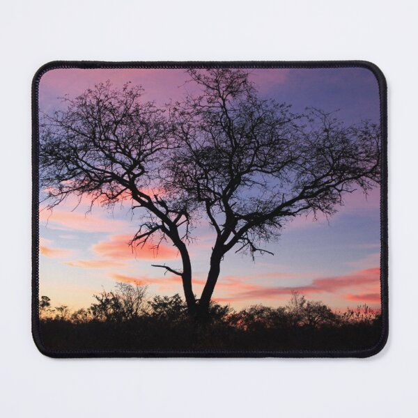 Item preview, Sunrise Tree Silhouette in Kruger National Park, South Africa designed and sold by SafariByMarisa.