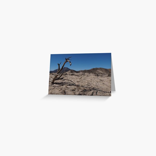 Dead Tree Greeting Card