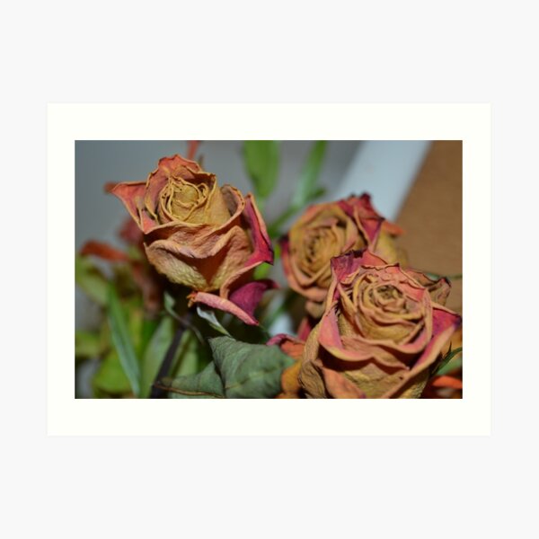 "Roses Really Smell Like POO POO" Art Print for Sale by vinnypop76