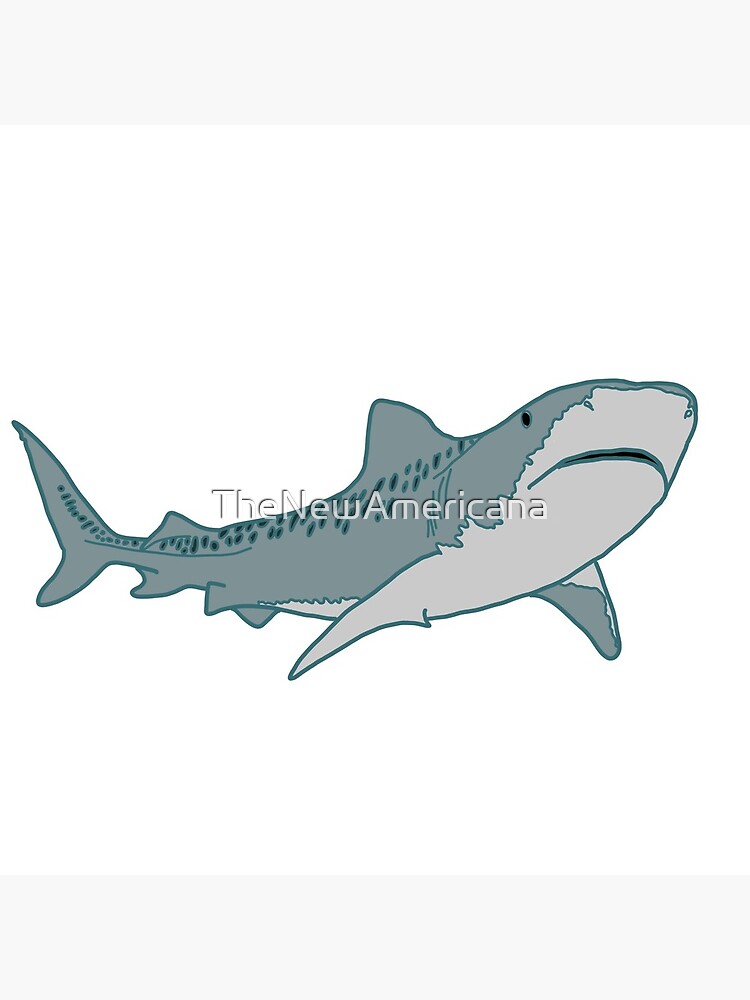 Tiger Shark  Poster for Sale by Heathermarie321