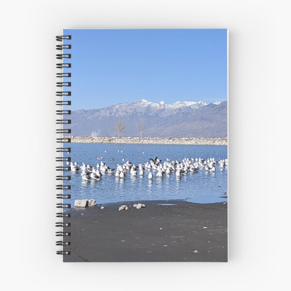 Item preview, Utah Lake designed and sold by MSKmakes.