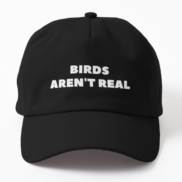 birds arent real Dad Hat